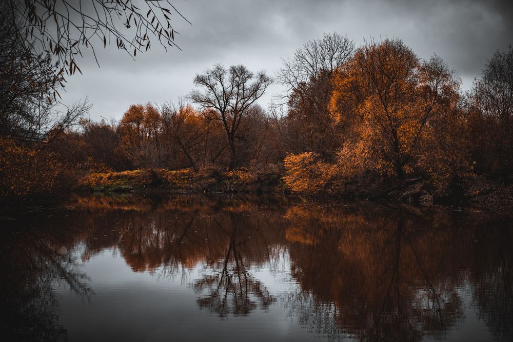 Фотография автора Григорьев Алексей
