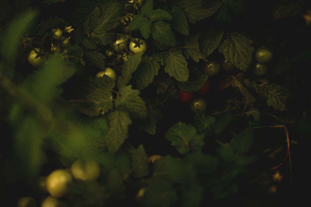 Photograph by Наталия Комаровская