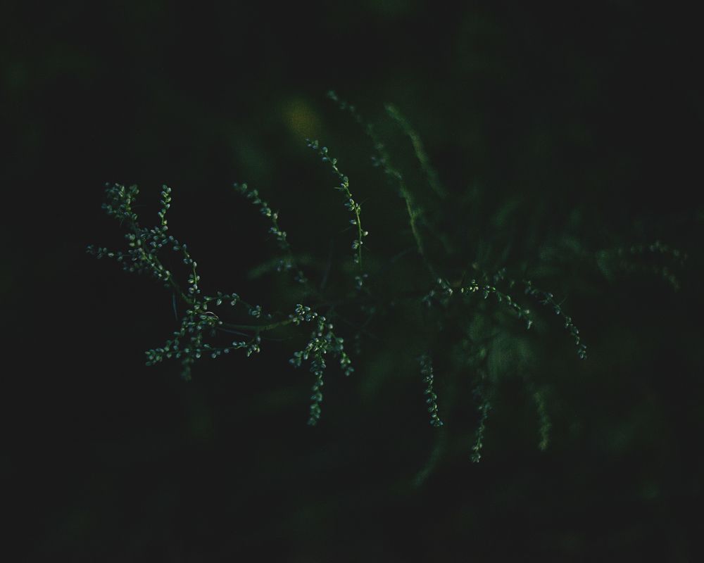 Photograph by Наталия Комаровская