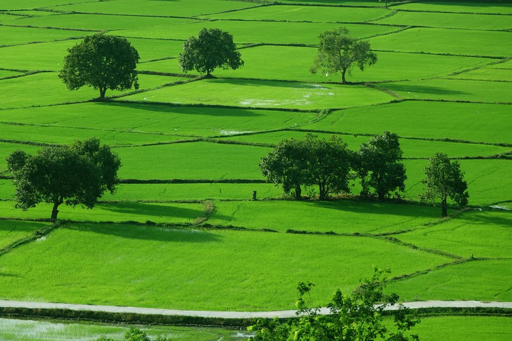 Photograph by Vy Van Bui