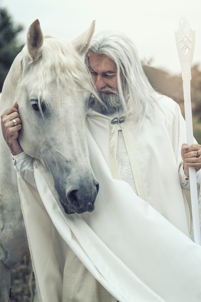 Gandalf the White and Shadowfax