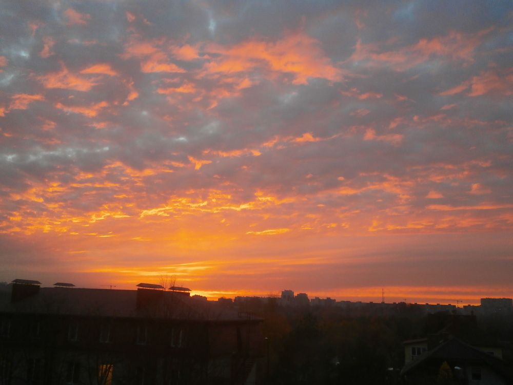 Photograph by Антон