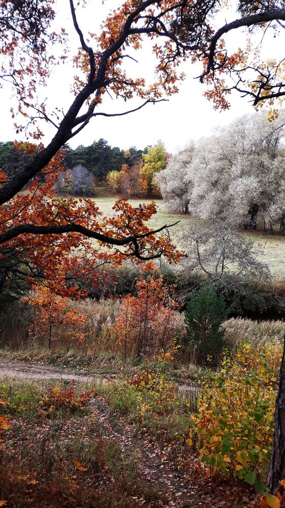 Photograph by Igor Glazistov