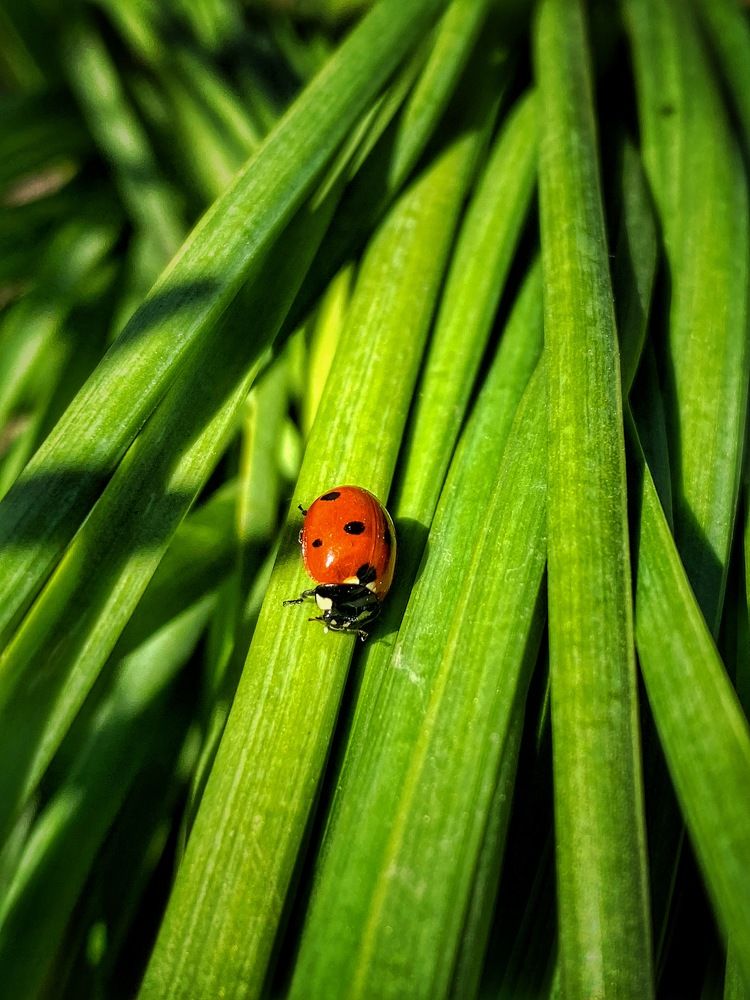 Photograph by Евгения