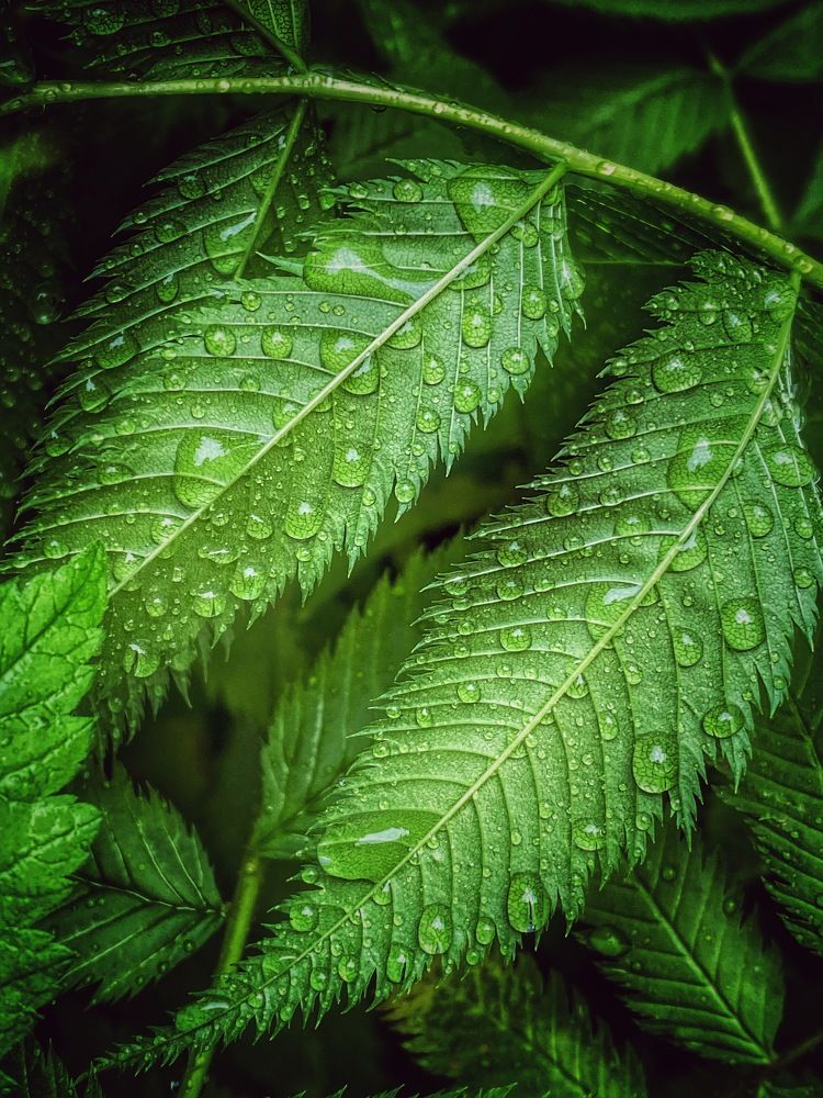 Photograph by Евгения