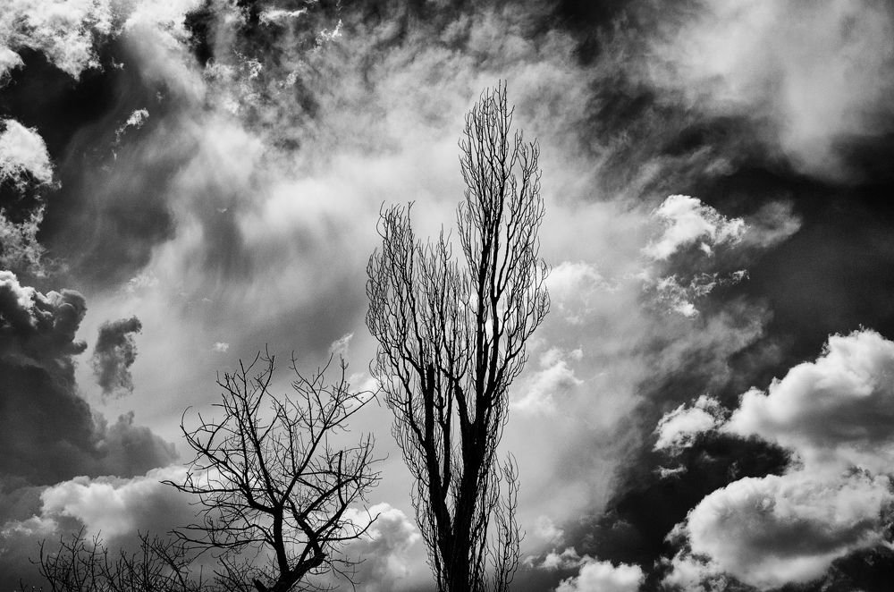 Photograph by Dragan Leles