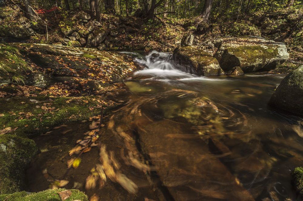 Photograph by ALEKSANDR KUZNETSOV