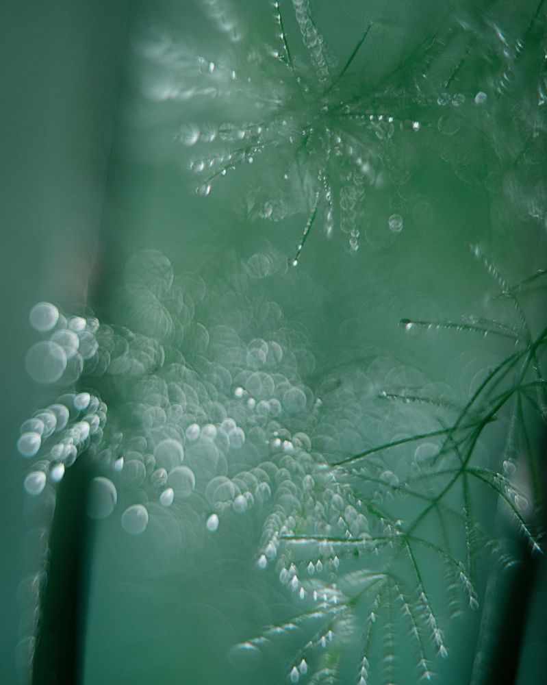 Photograph by Наталия Комаровская