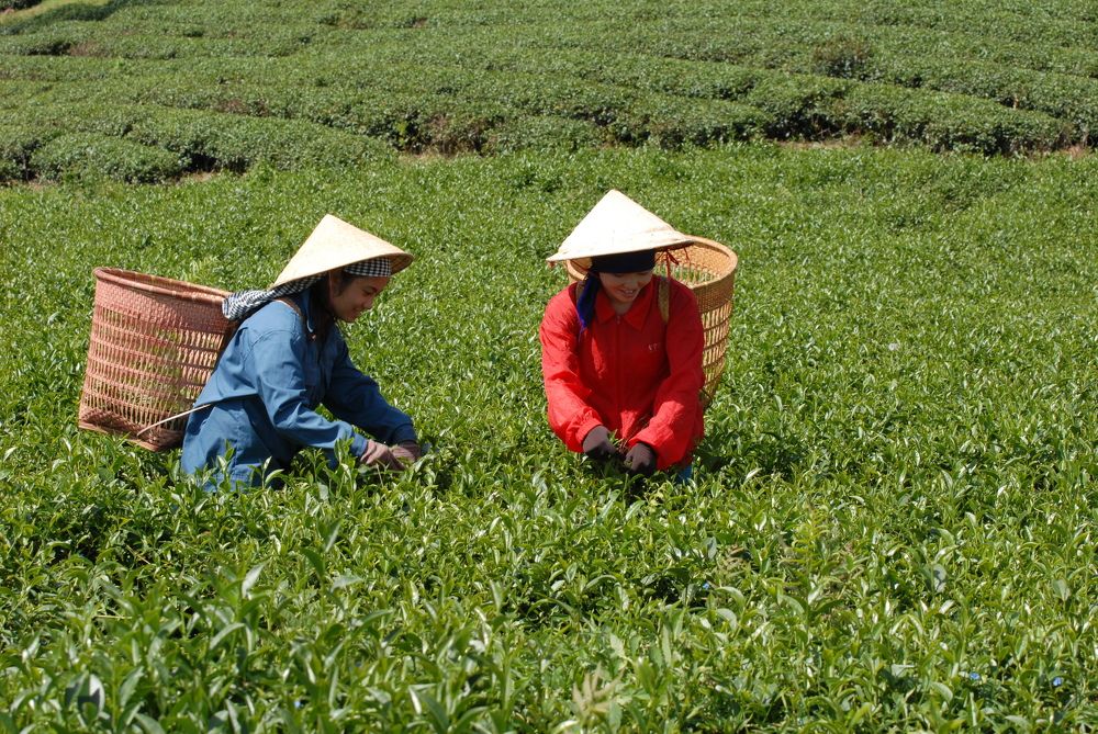 Photograph by Vy Van Bui