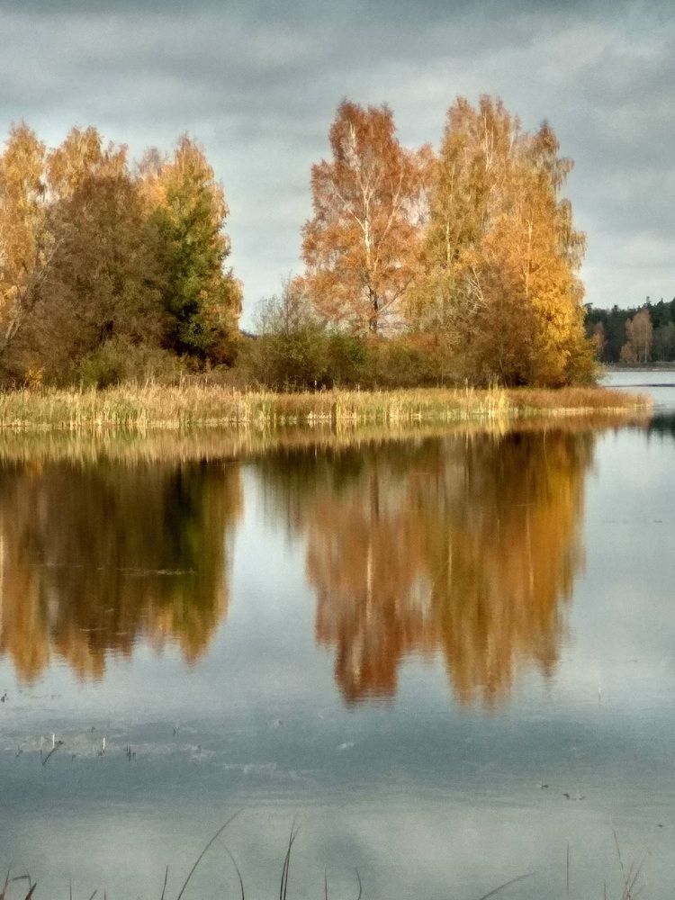 Photograph by Alvydas Ldk