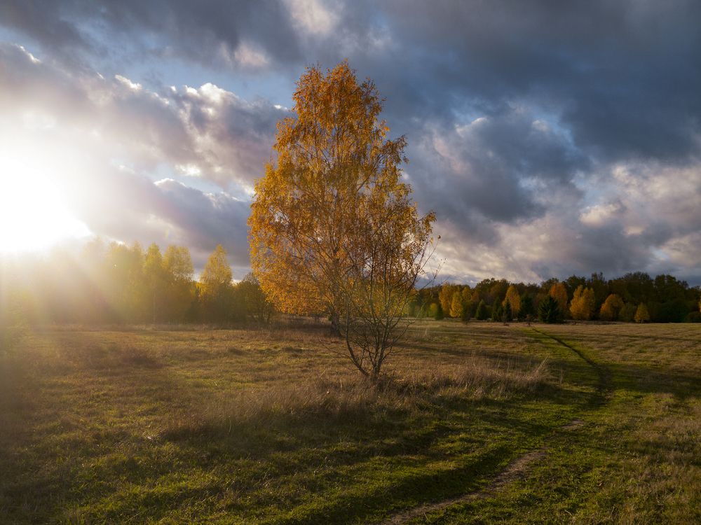 Photograph by Fadeeva Ekaterina