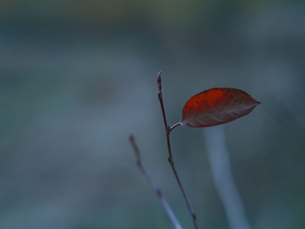 Photograph by Fadeeva Ekaterina