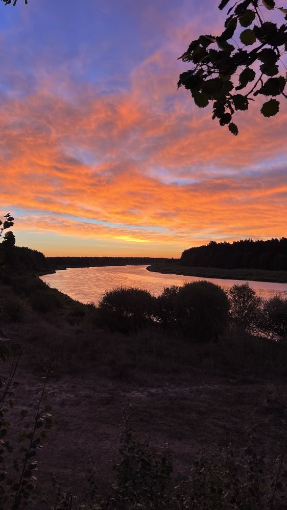 Фотография автора Наталья Васько -Черданцева