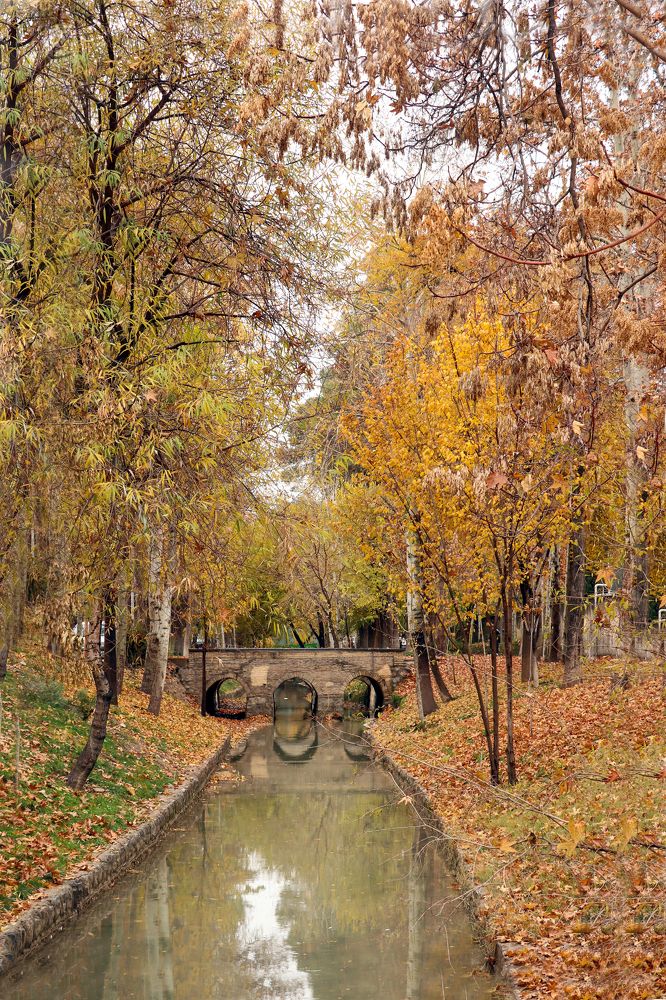 Photograph by Minoo Davari