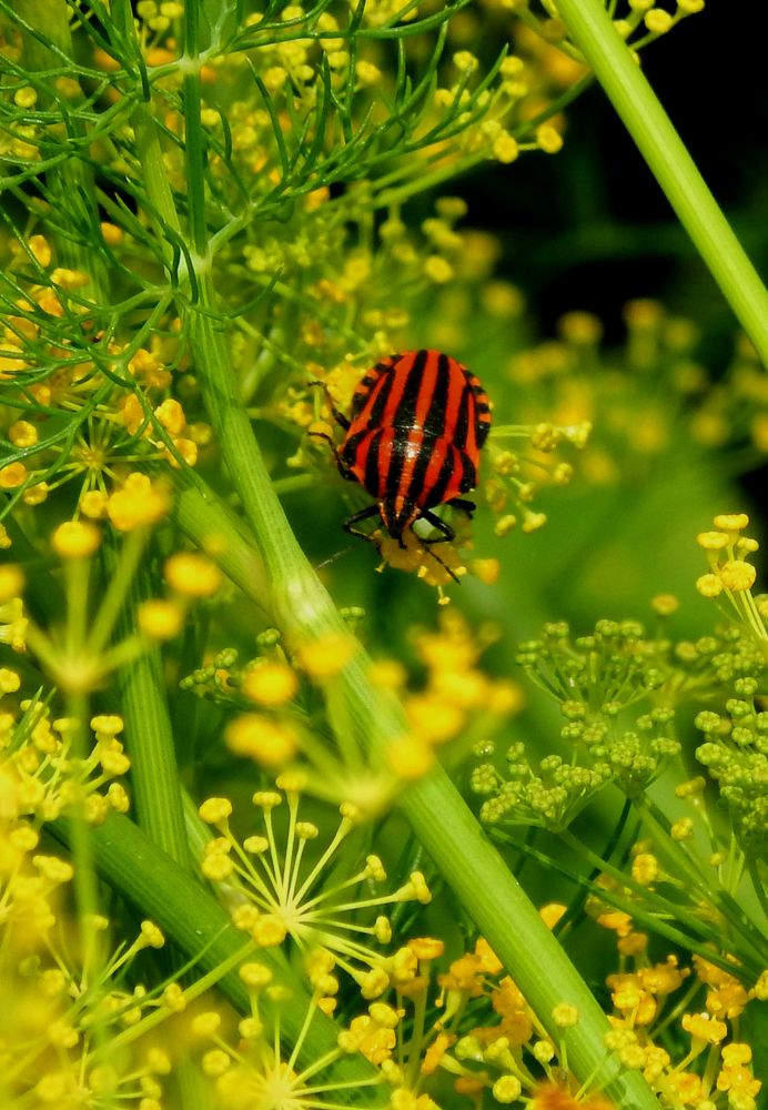 Photograph by Анастасия Моисеева