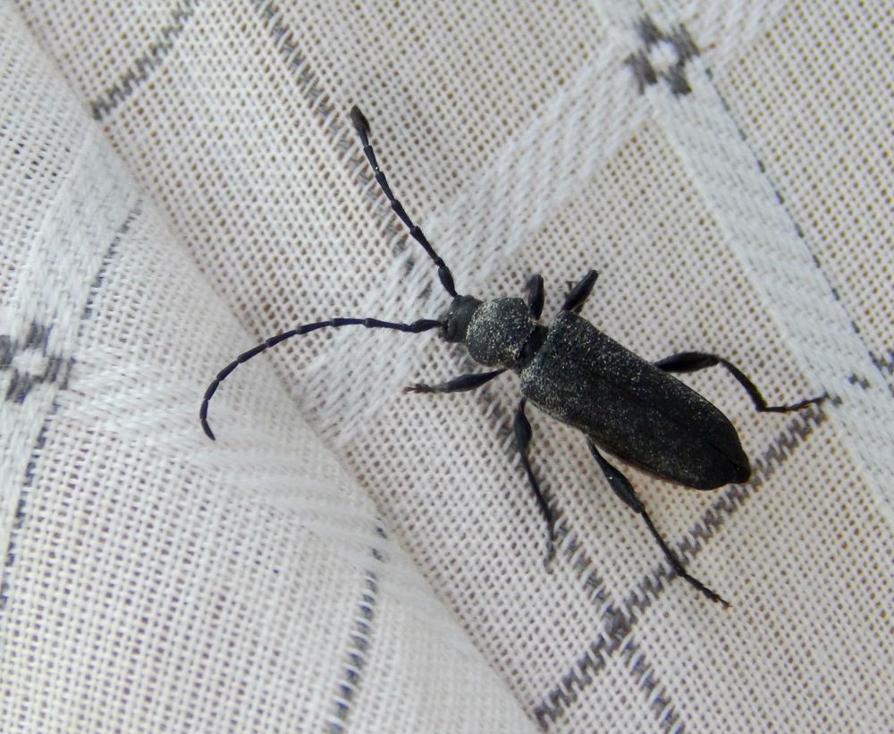 Photograph by Анастасия Моисеева