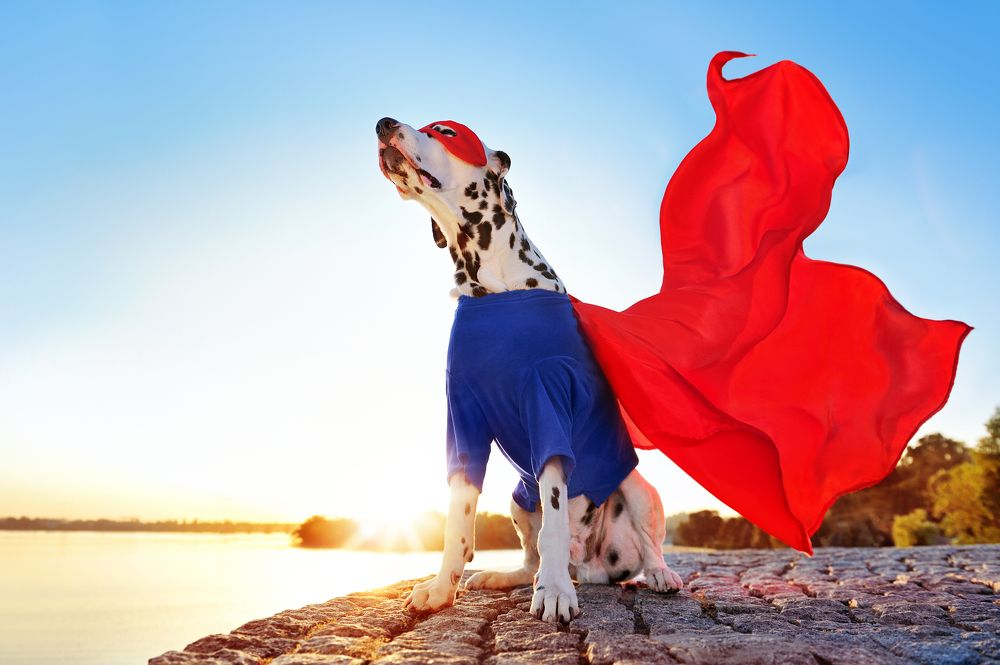 Photograph by Татьяна Калмацуй