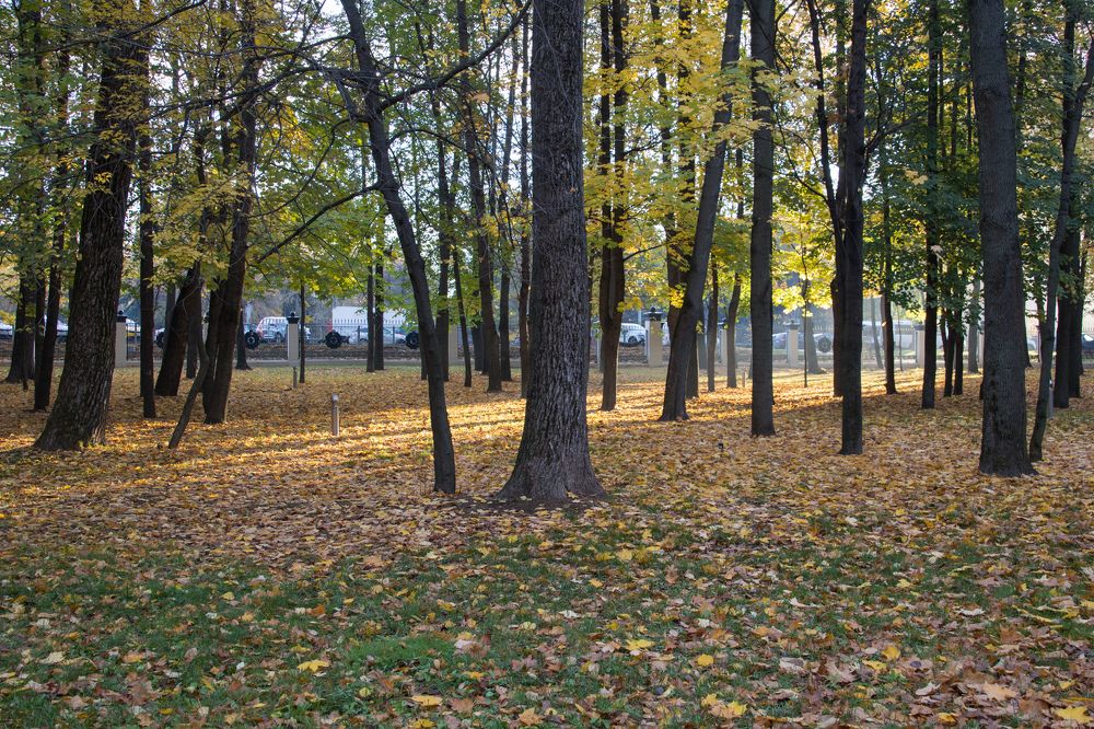 Фотография автора Алексей Корнеев