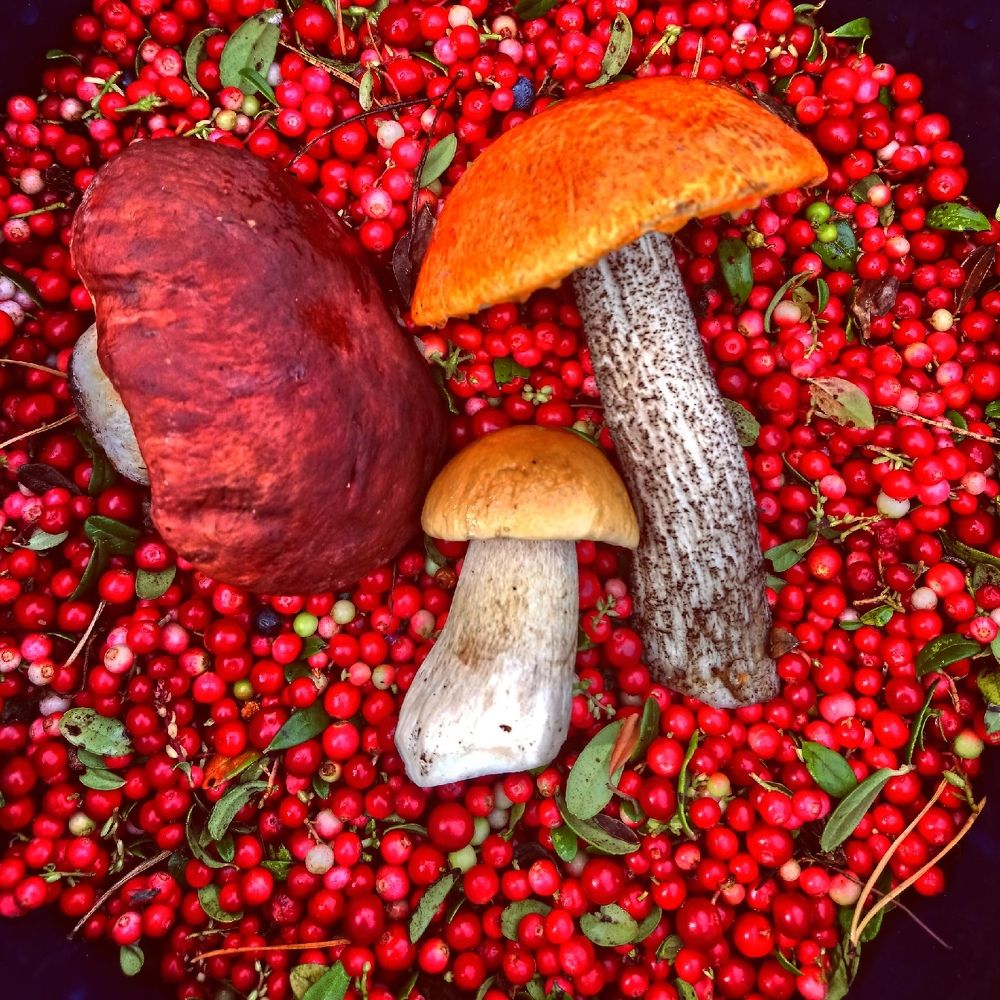 Фотография автора Юрий Цыркунов