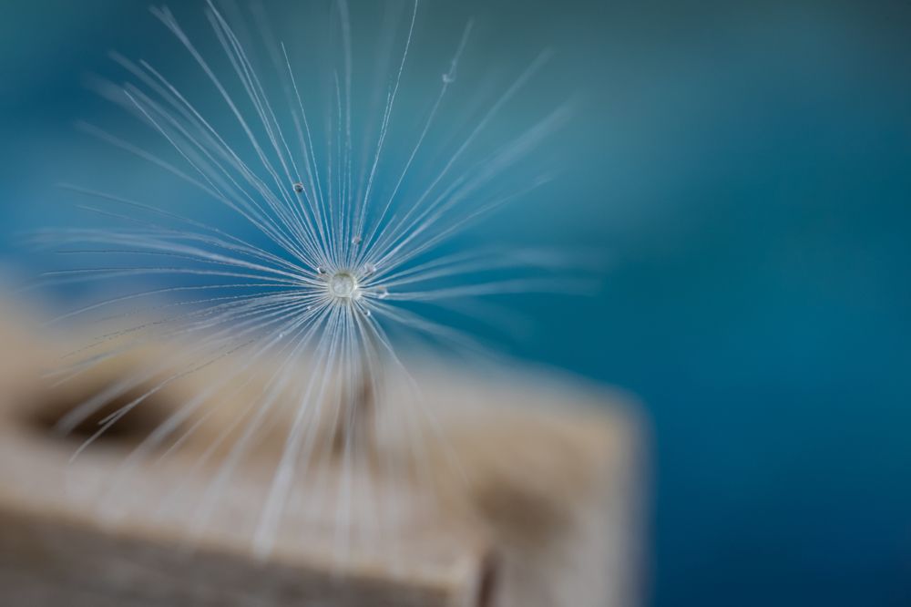 Photograph by Сергей Романченко