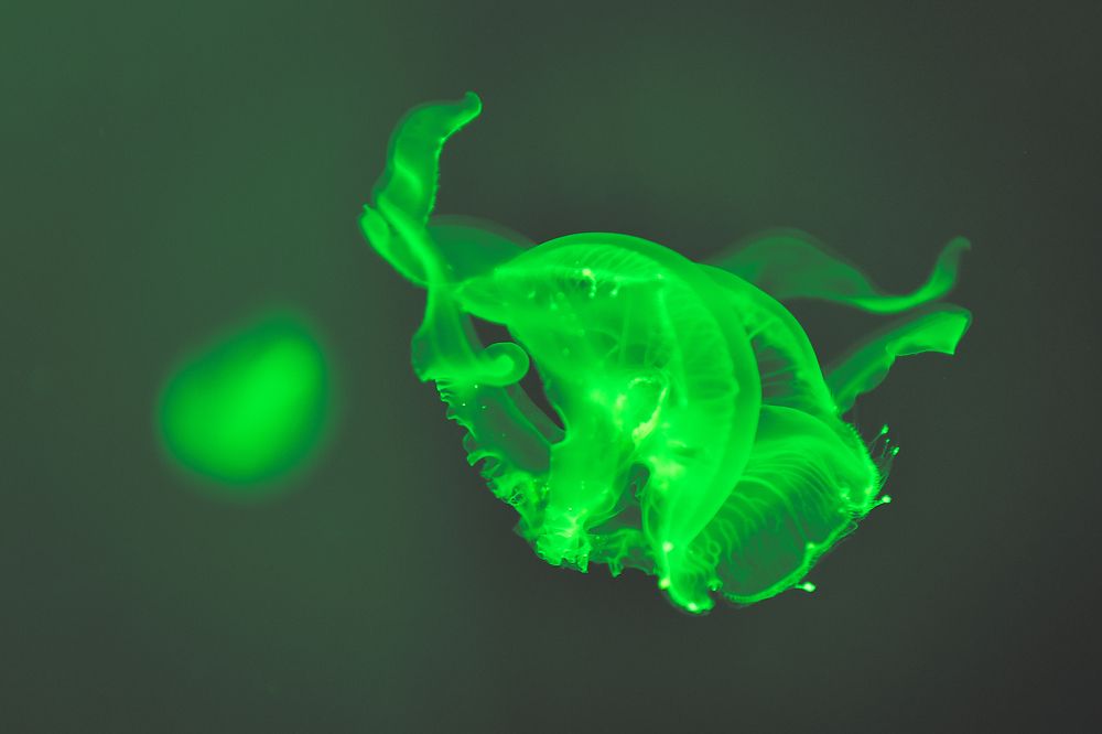 Photograph by Ковалёв Игорь