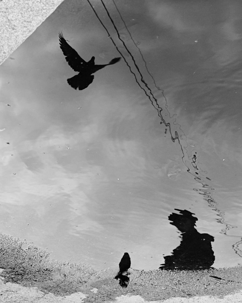 Photograph by Надежда Буаллаг