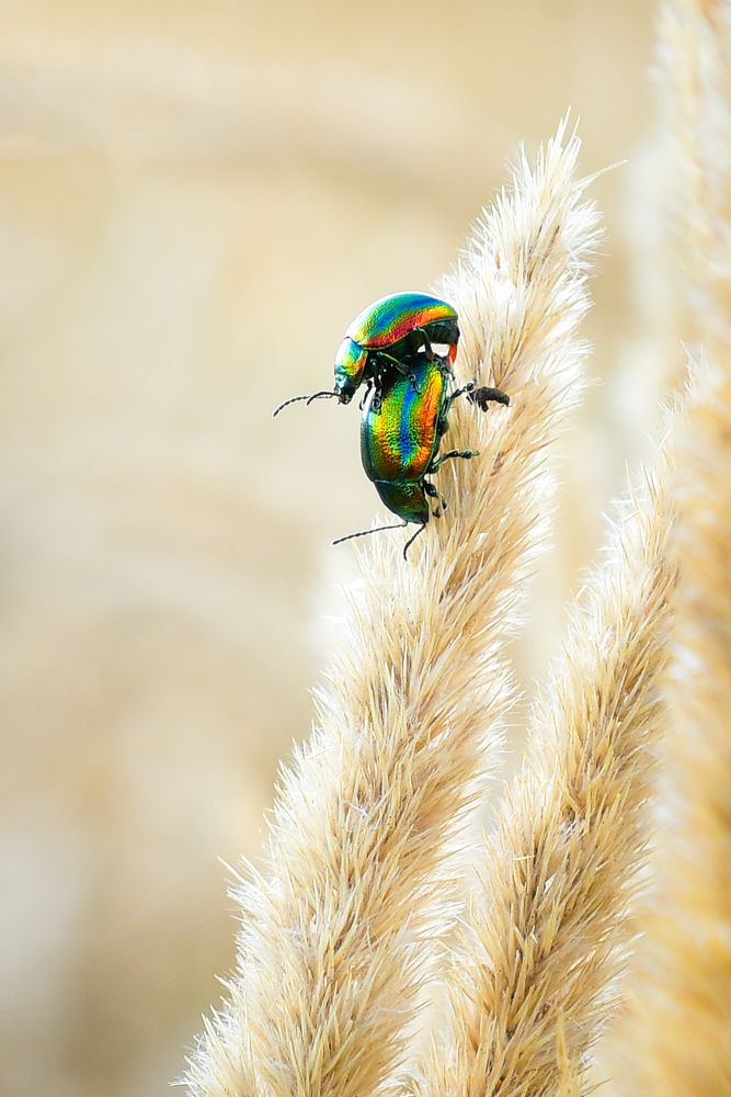 Photograph by Ковалёв Игорь