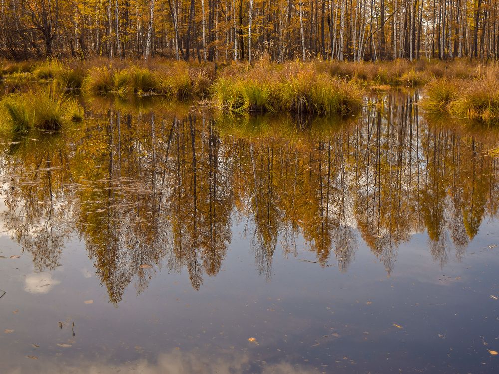 Photograph by Блохина Ольга