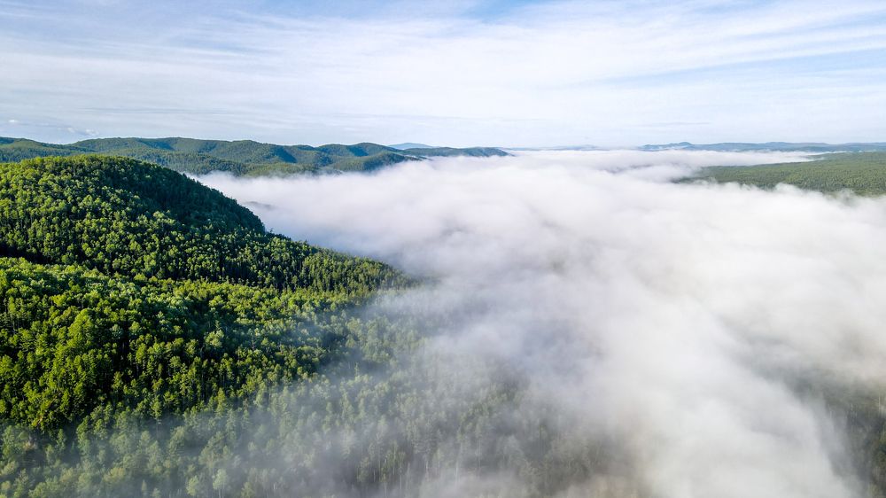 Photograph by Алексей Зайцев