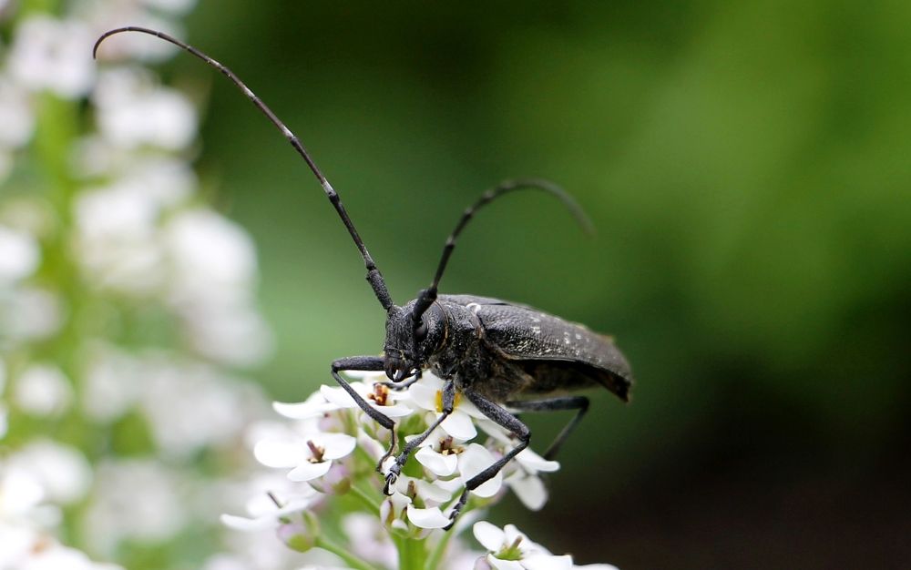 Photograph by Леунина Людмила