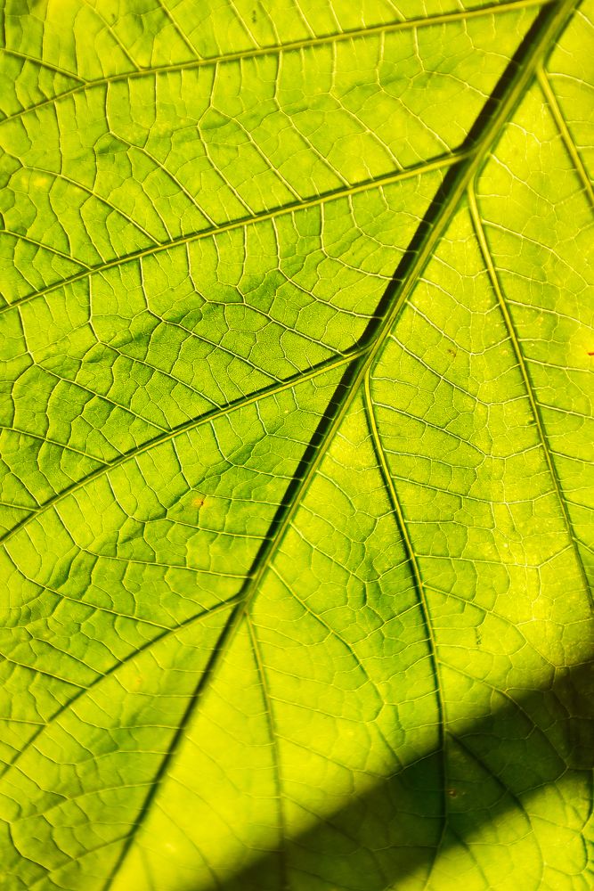 Photograph by Ковалёв Игорь