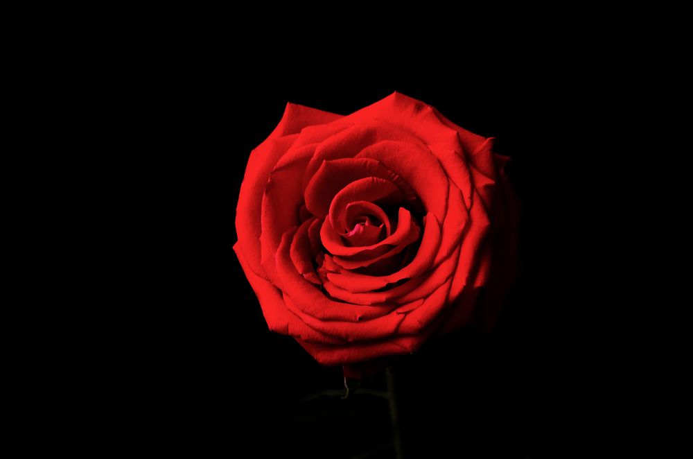 Photograph by Вероника Романенко