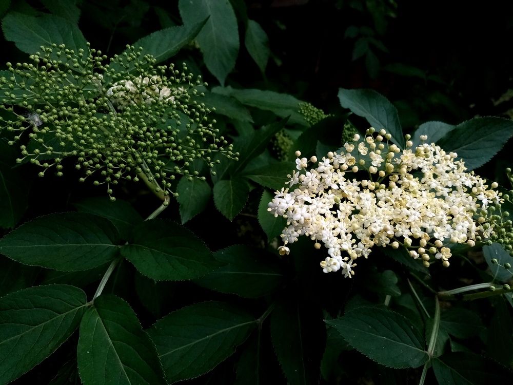 Photograph by Ekaterina