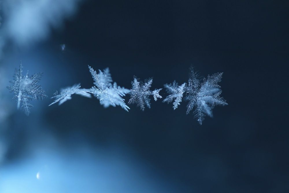 Photograph by Леунина Людмила