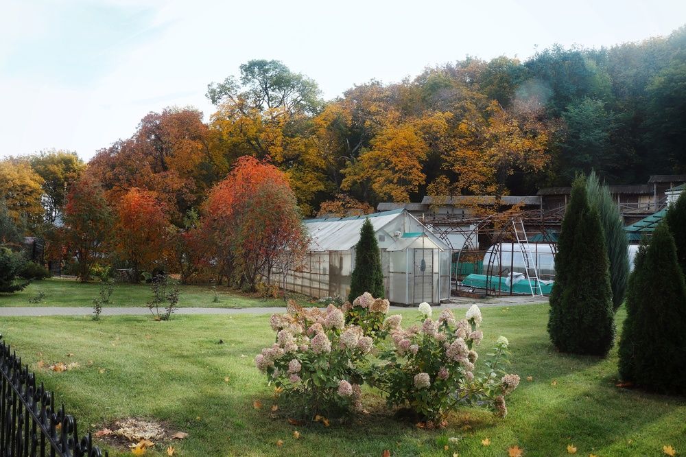 Photograph by Елена Демина