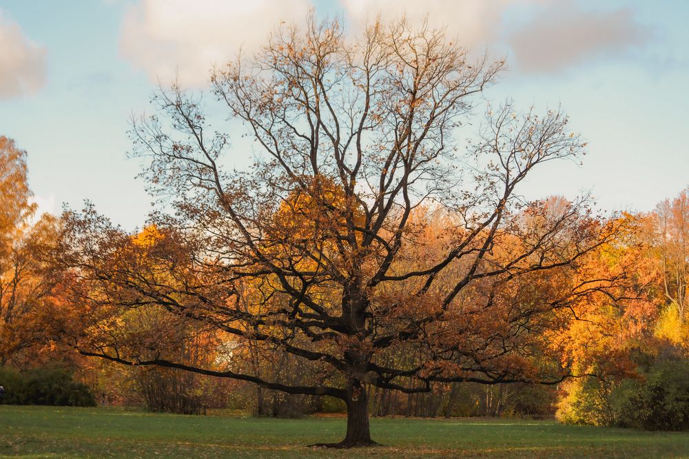 Photograph by Sergey Uskov