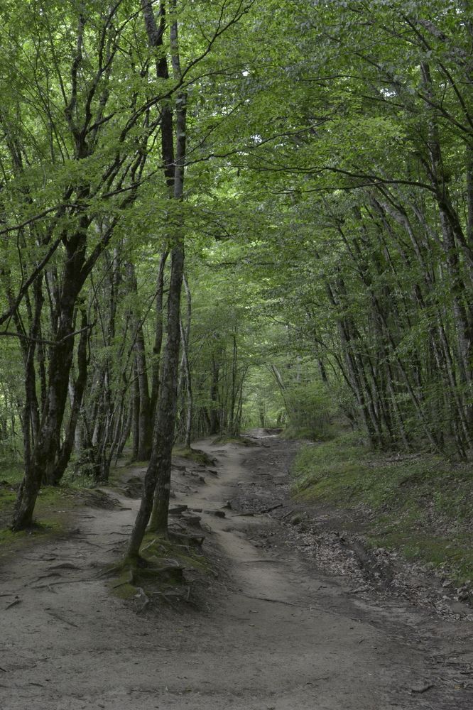 Photograph by Aleksey