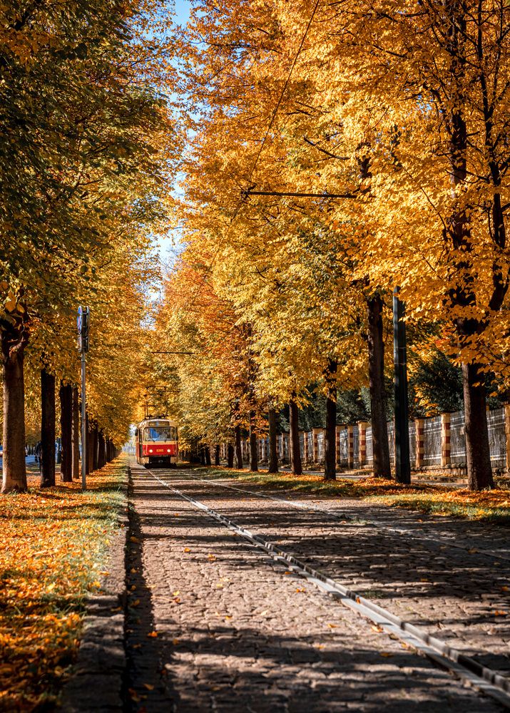 Photograph by Phi Hung