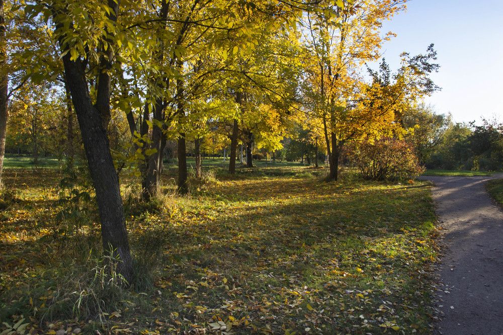 Фотография автора игорь Громов