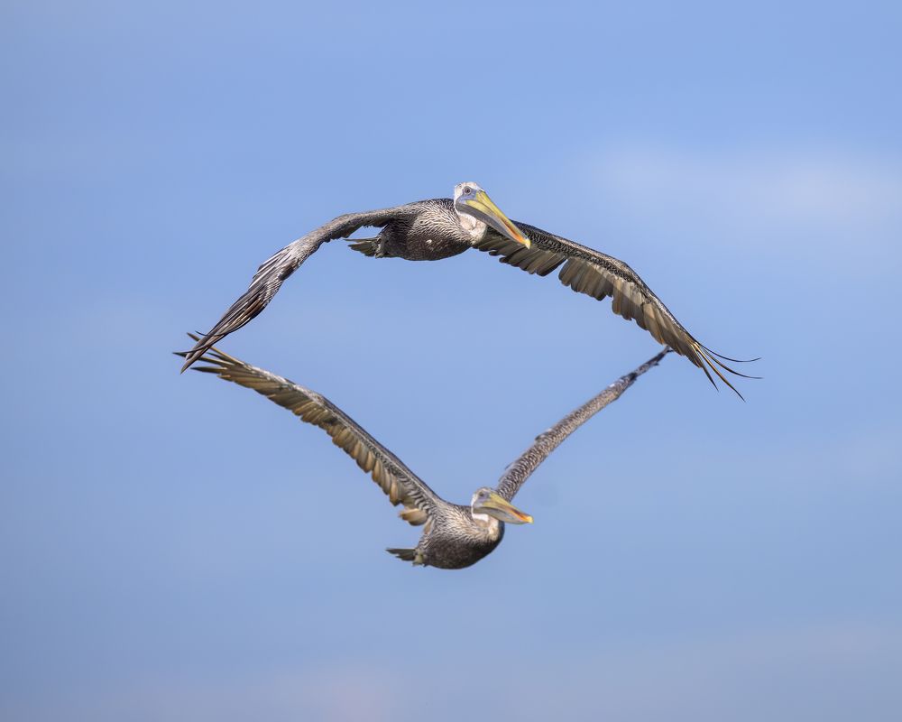 Photograph by Nancy Koch