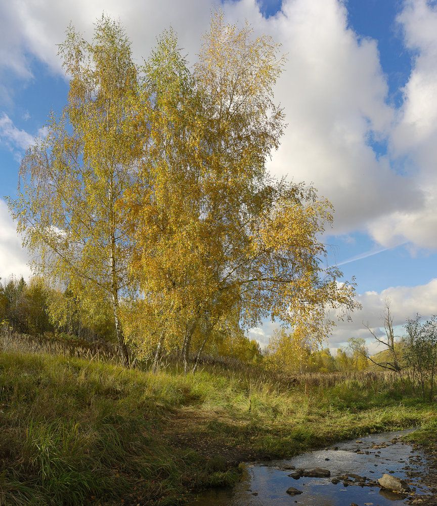 Photograph by Евгений Беленков