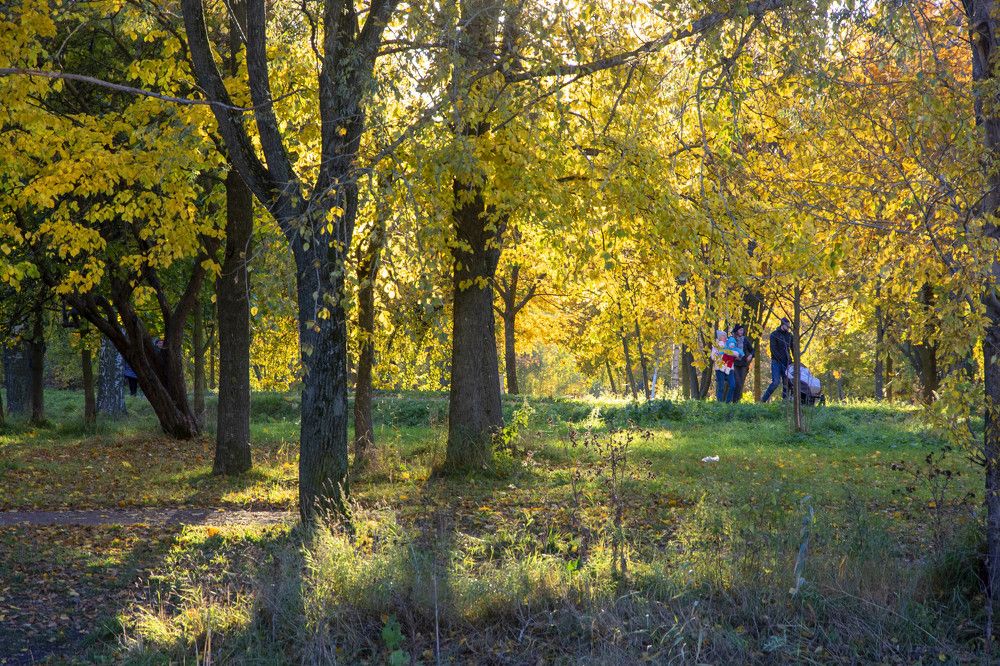 Фотография автора игорь Громов