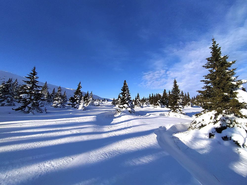 Фотография автора Павел Мартюшев