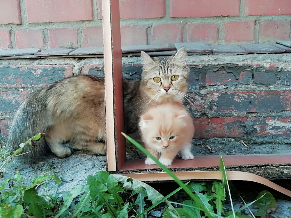 Портрет мамы и малыша.