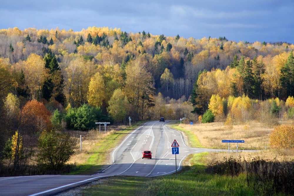 Осенняя дорога