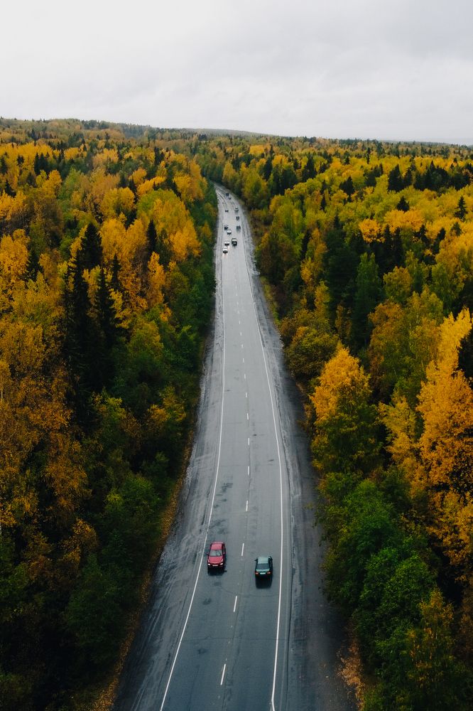 Photograph by Дайана Кириллова