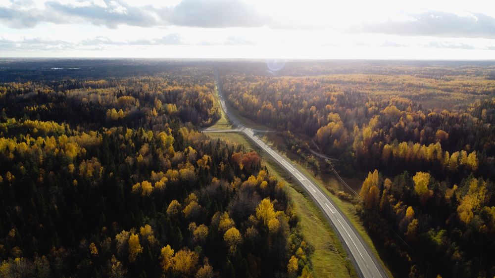 Photograph by Дайана Кириллова