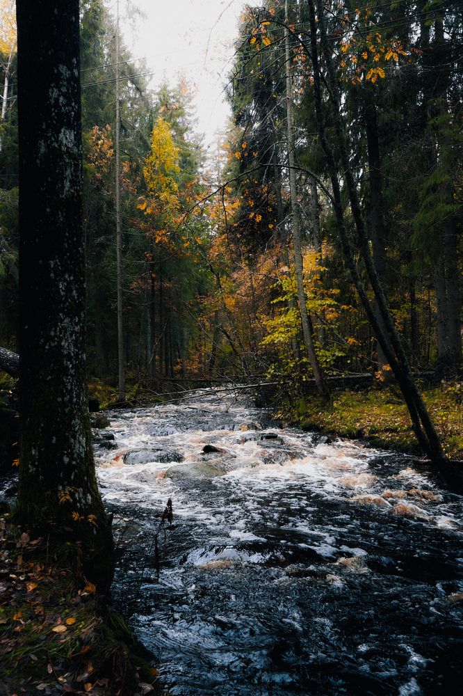 Photograph by Дайана Кириллова