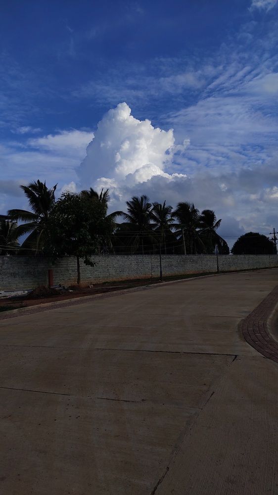 Photograph by Diwakaran D