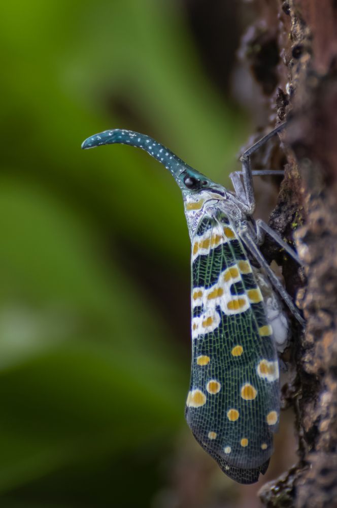 Photograph by saikat chanda